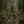 Load image into Gallery viewer, Youth BDU/M81 Pant
