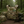 Load image into Gallery viewer, Micro Mini Youth Plate Carrier MT Camo
