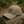 Load image into Gallery viewer, Youth Tan Tactical Operators Cap
