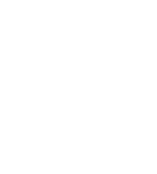 Collection Logo
